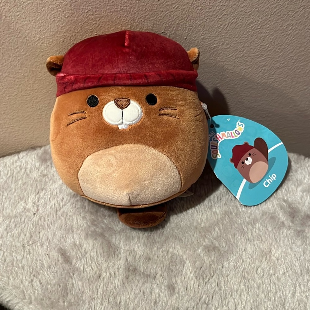 Squishmallow “chip” brand new